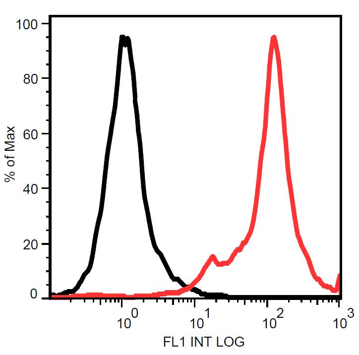 Anti-STRO-1 Monoclonal Antibody (Clone:STRO-1)