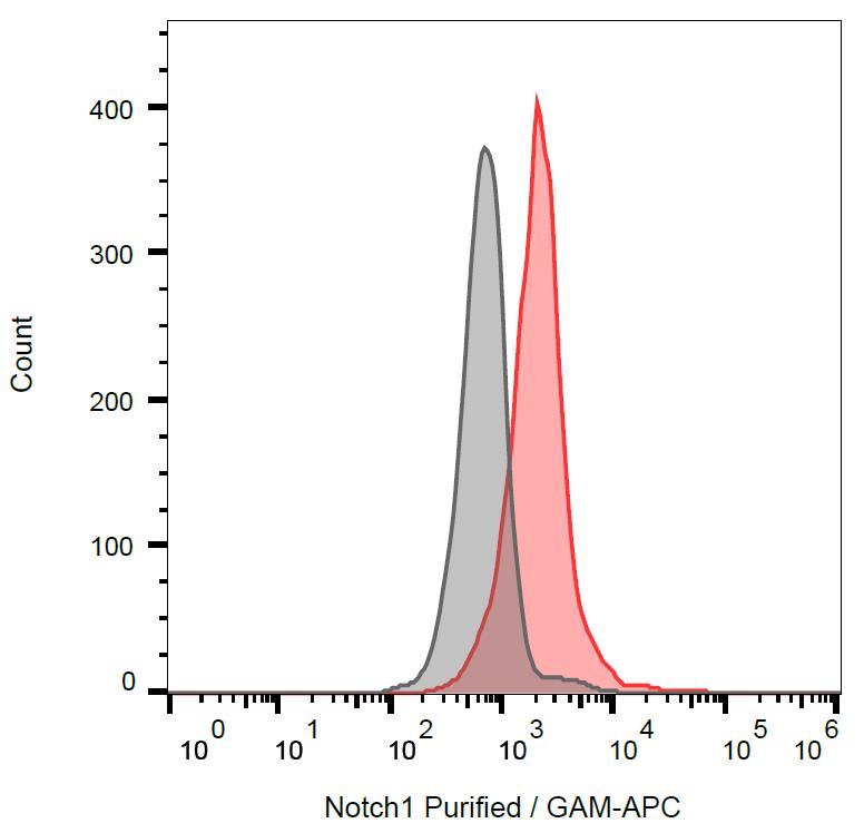 Anti-Notch 1 Monoclonal Antibody (Clone:mN1A)