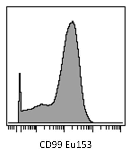 Anti-CD99 Monoclonal Antibody (Clone:3B2/TA8)