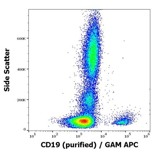 Anti-CD19 Monoclonal Antibody (Clone:4G7 )