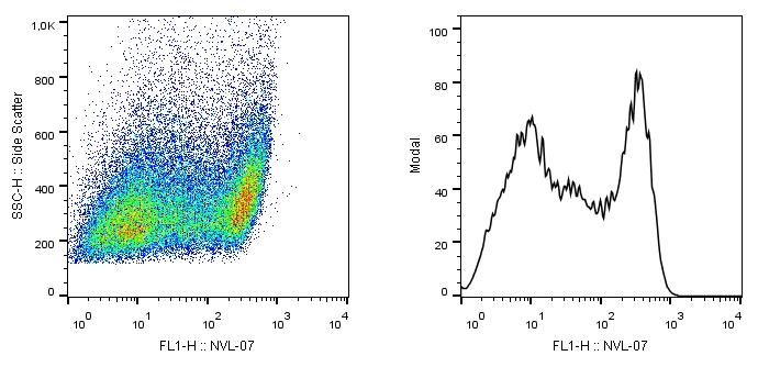 Anti-SCIMP Monoclonal Antibody (Clone:NVL-07)