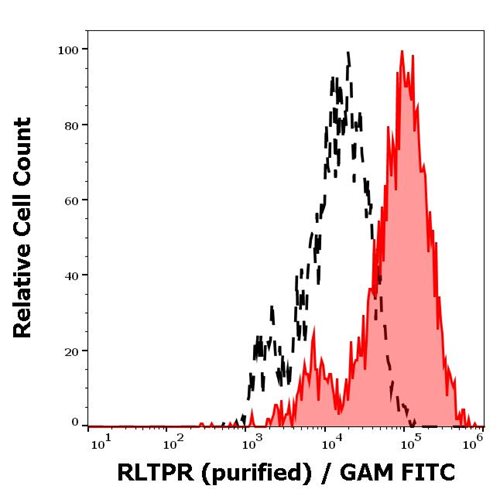 Anti-RLTPR / CARMIL2 Monoclonal Antibody (Clone:EM-53)