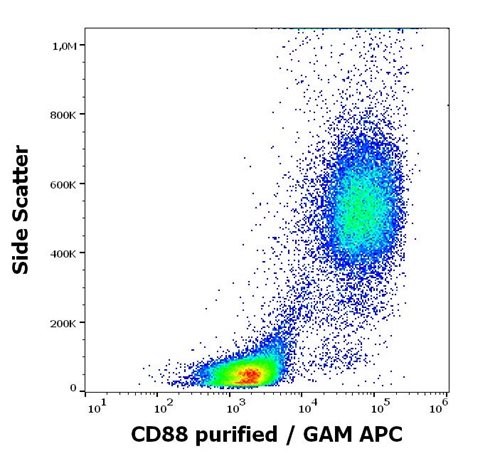 Anti-CD88 / C5aR Monoclonal Antibody (Clone:S5/1)Purified