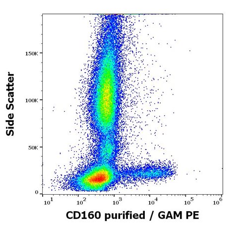 Anti-CD160 Monoclonal Antibody (Clone:BY55)