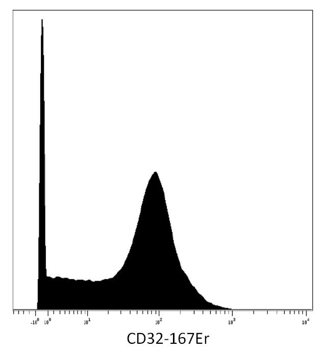 Anti-CD32 / FcgammaRII Monoclonal Antibody (Clone:3D3)