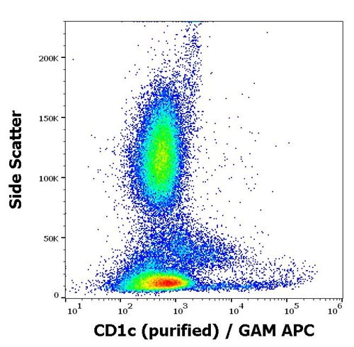 Anti-CD1c Monoclonal Antibody (Clone:L161)