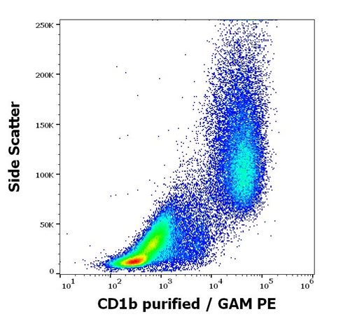 Anti-CD1b Monoclonal Antibody (Clone: SN13)Purified