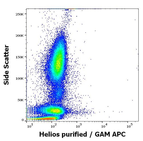 Anti-Helios Monoclonal Antibody (Clone:22F6)