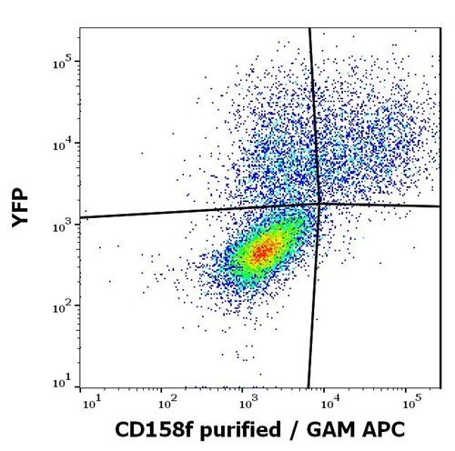 Anti-CD158f Monoclonal Antibody (Clone:UP-R1)