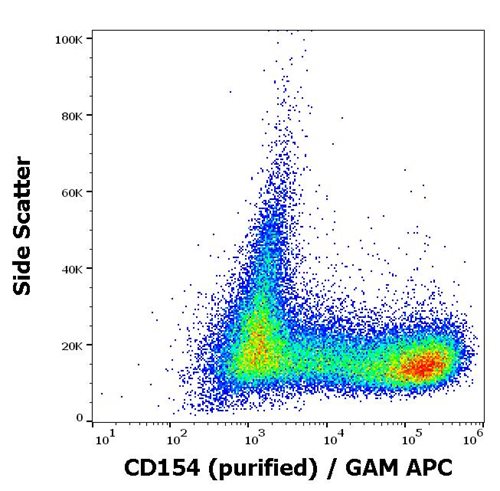 Anti-CD154 / CD40L Monoclonal Antibody (Clone: 24-31) Purified