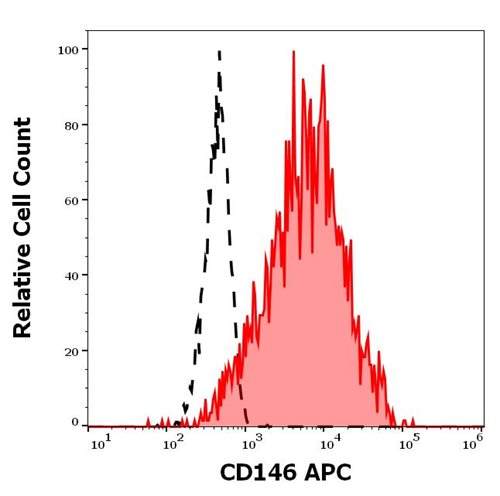 Anti-CD146 Monoclonal Antibody (Clone:P1H12)-APC Conjugated