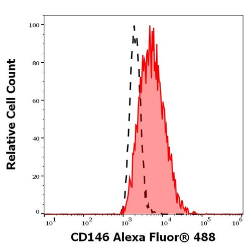 Anti-CD146 Monoclonal Antibody (Clone:P1H12)-Alexa Fluor 488