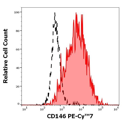 Anti-CD146 Monoclonal Antibody (Clone:P1H12)-PE-Cy7 Conjugated