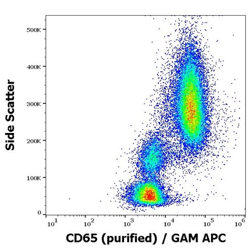 Anti-CD65 Monoclonal Antibody (Clone:VIM8)