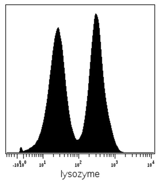 Anti-Lysozyme Monoclonal Antibody (Clone:LZ598-10G9)