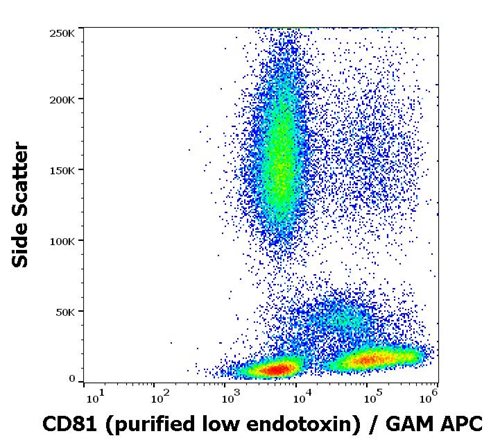 Anti-CD81 Monoclonal Antibody (Clone:M38)-Low Endotoxin