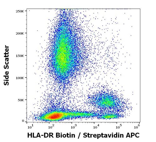 Biotin Conjugated Anti-HLA-DR Monoclonal Antibody (Clone: L243)