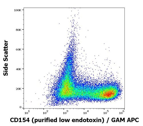 Anti-CD154 / CD40L Monoclonal Antibody (Clone:24-31)-Low Endotoxin