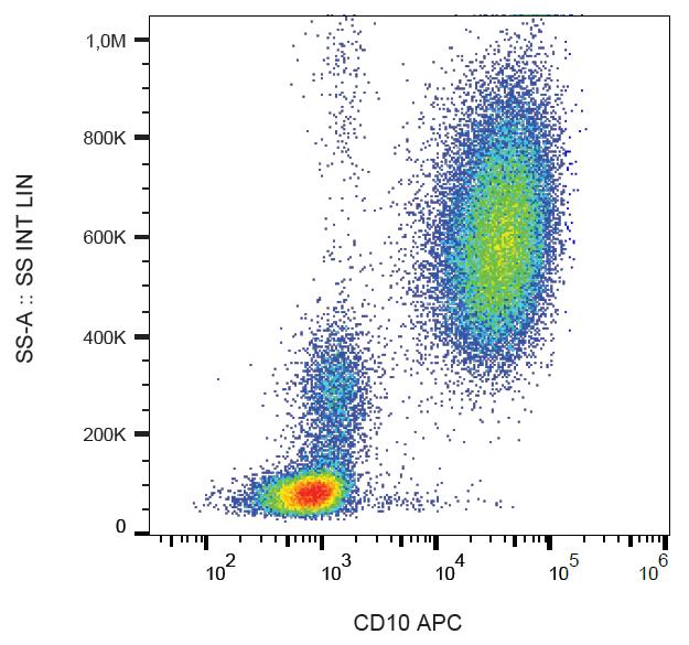 APC Conjugated, Anti-CD10 / CALLA Monoclonal Antibody (Clone:MEM-78)