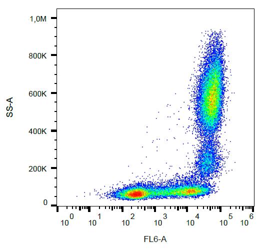 Anti-CD11b / Mac-1 alpha Monoclonal Antibody (Clone:MEM-174)-APC Conjugated