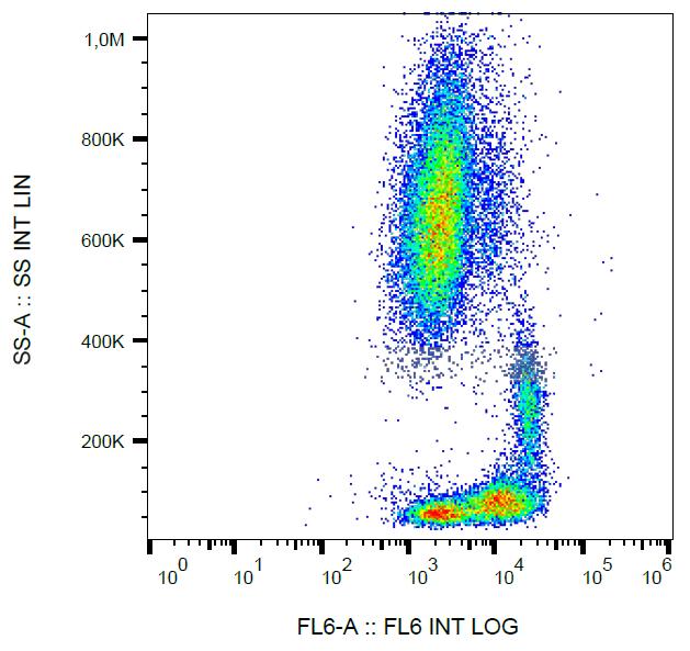 Anti-CD29 / Integrin beta1 chain Monoclonal Antibody (Clone:MEM-101A)-APC Conjugated