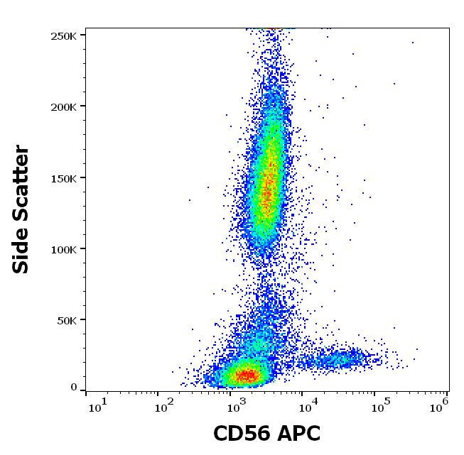 Anti-CD56 / NCAM Monoclonal Antibody (Clone:MEM-188)-APC Conjugated