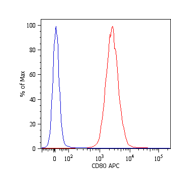 Anti-CD80 / B7-1 Monoclonal Antibody (Clone:MEM-233)-APC Conjugated