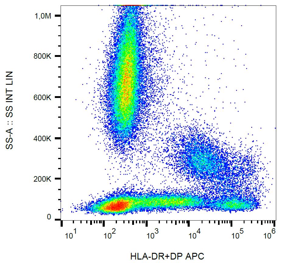 APC Conjugated Anti-HLA-DR+DP Monoclonal Antibody (Clone:MEM-136)