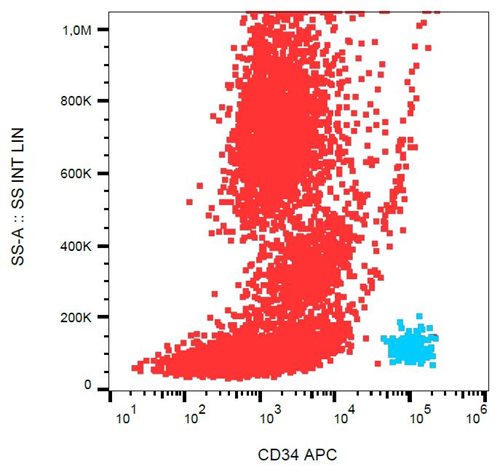 Anti-CD34 / Mucosialin Monoclonal Antibody (Clone:4H11[APG])-APC Conjugated