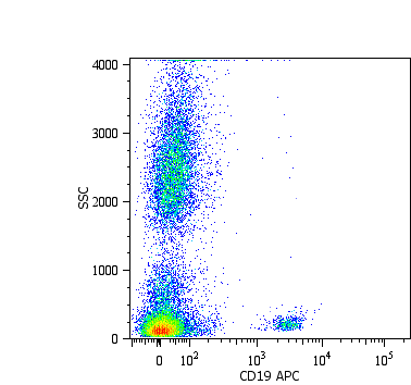 Anti-CD19 Monoclonal Antibody (Clone:LT19)-APC Conjugated