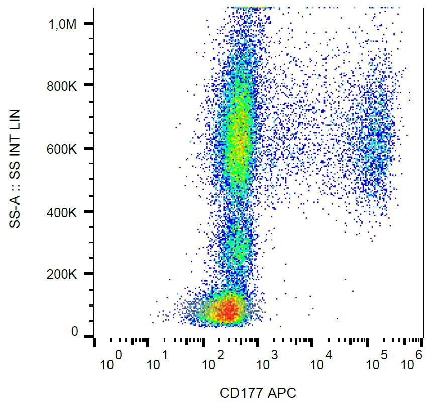 Anti-CD177 Monoclonal Antibody (Clone:MEM-166)-APC Conjugated