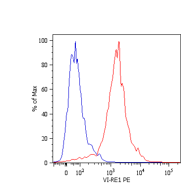 APC Conjugated Anti-Vimentin Monoclonal Antibody (Clone:VI-RE/1)