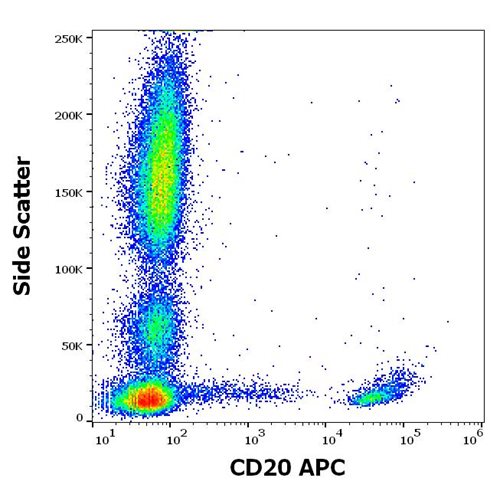 Anti-CD20 Monoclonal Antibody (Clone:LT20)-APC Conjugated