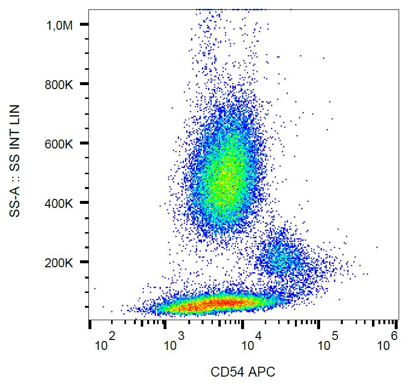 Anti-CD54 / ICAM-1 Monoclonal Antibody (Clone:1H4)-APC Conjugated