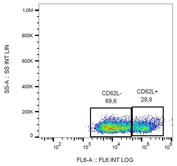 Anti-CD62L / L-selectin Monoclonal Antibody (Clone:LT-TD180)-APC Conjugated