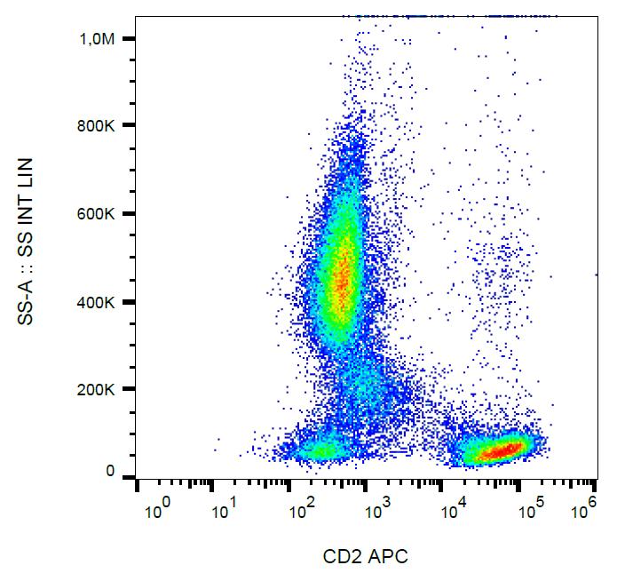 Anti-CD2 / LFA-2 Monoclonal Antibody (Clone:LT2)-APC Conjugated