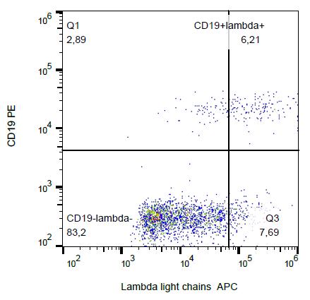 APC Conjugated Anti-Lambda light chains Monoclonal Antibody (Clone:4C2)