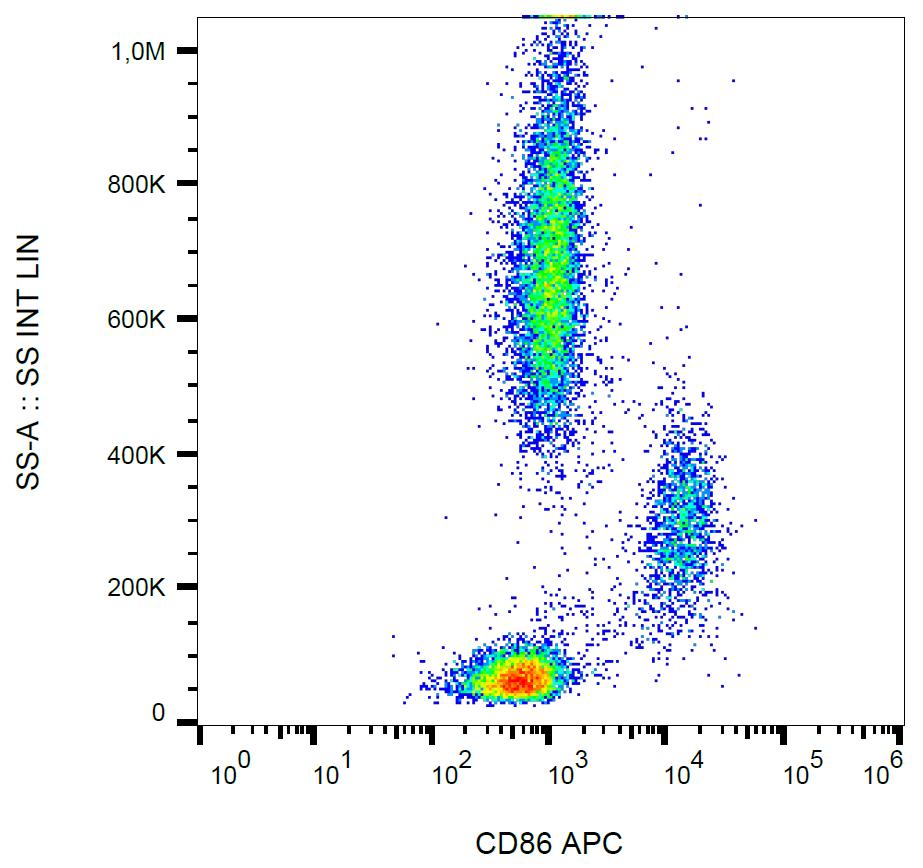 Anti-CD86 Monoclonal Antibody (Clone:BU63)-APC Conjugated