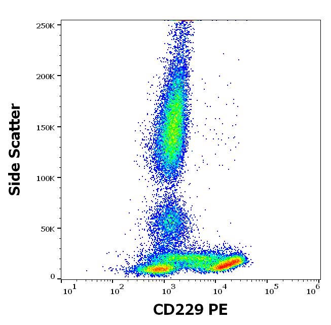 Anti-CD229 / Ly9 Monoclonal Antibody (Clone:HLy9.25)-APC Conjugated