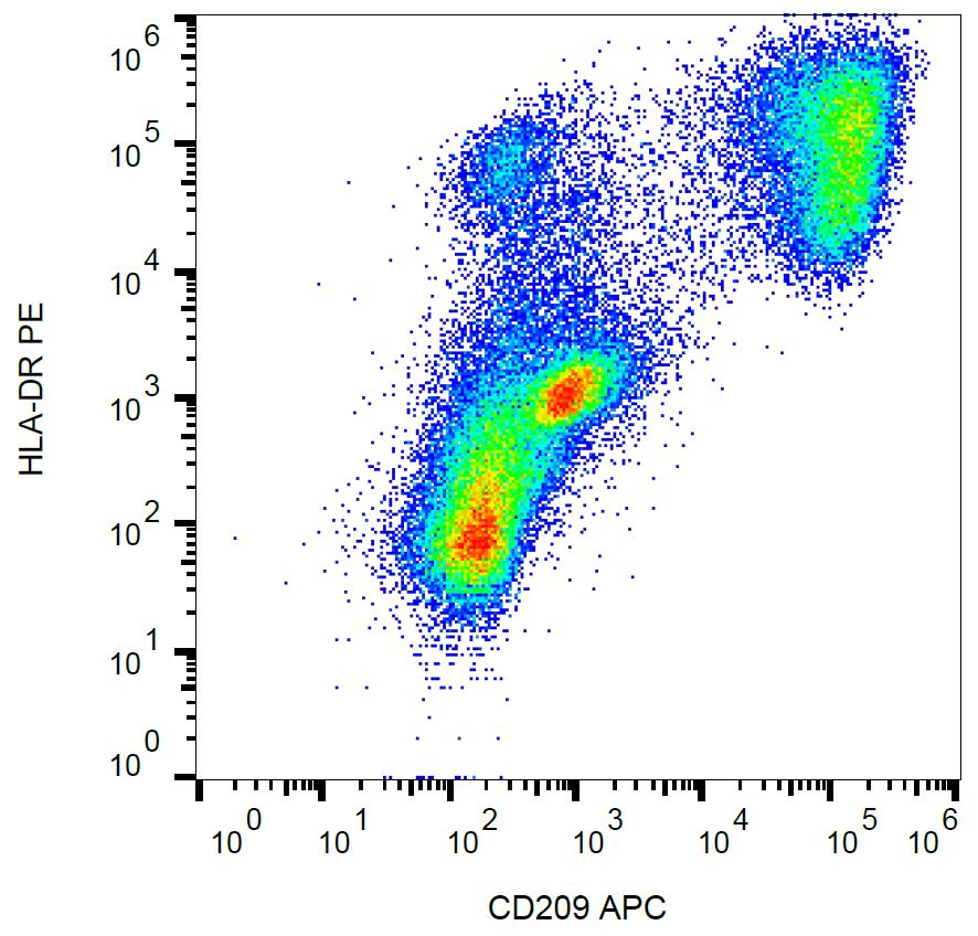 Anti-CD209 Monoclonal Antibody (Clone:UW60.1)-APC Conjugated