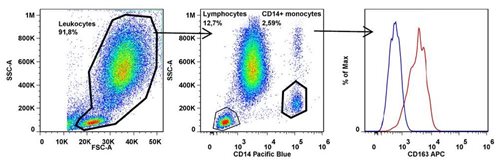 Anti-CD163 Monoclonal Antibody (Clone:GHI/61)-APC Conjugated