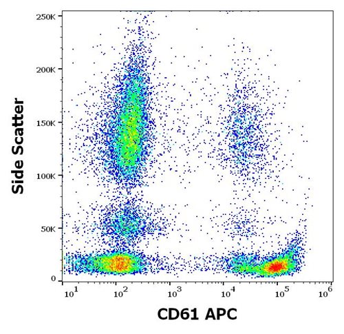 Anti-CD61 Monoclonal Antibody (Clone:VIPL2)-APC Conjugated