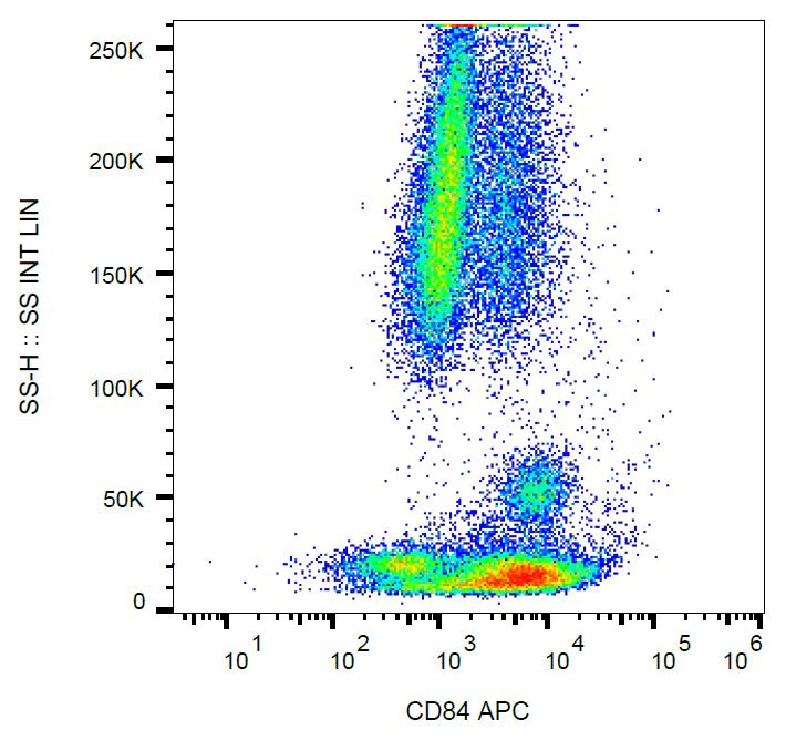 Anti-CD84 Monoclonal Antibody (Clone:CD84.1.21)-APC Conjugated