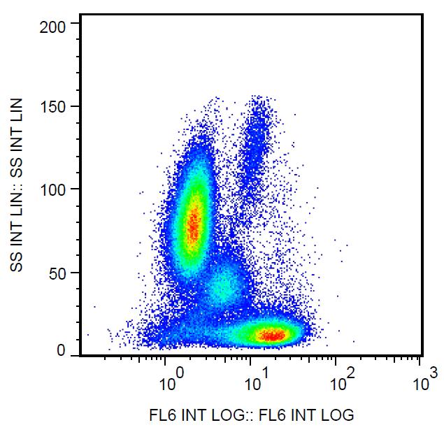 APC Conjugated, Anti-Bcl2 Monoclonal Antibody (Clone:Bcl-2/100)