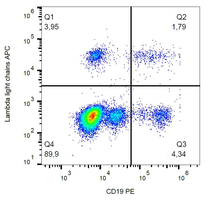 APC Conjugated Anti-Lambda light chains Monoclonal Antibody (Clone:1-155-2)