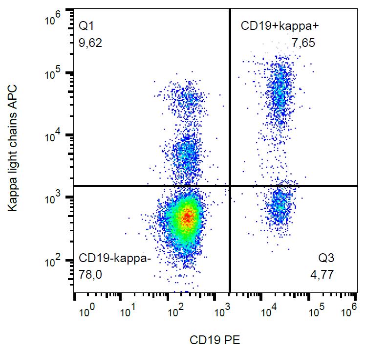 APC Conjugated Anti-Kappa light chains Monoclonal Antibody (Clone:TB28-2)