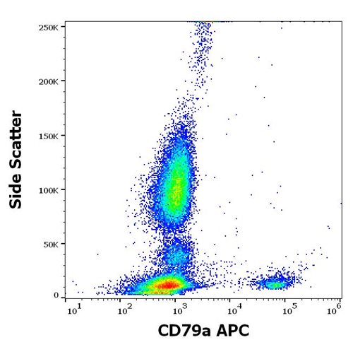 APC Conjugated Anti-CD79a Monoclonal Antibody (Clone:HM47)