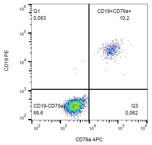 APC Conjugated Anti-CD79a Monoclonal Antibody (Clone:HM47)