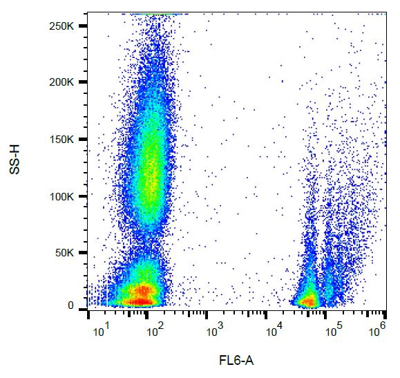 Anti-CD235a / Glycophorin A Monoclonal Antibody (Clone:JC159)-APC Conjugated