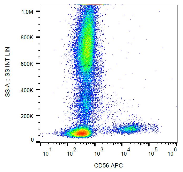 Anti-CD56 / NCAM Monoclonal Antibody (Clone:LT56)-APC Conjugated